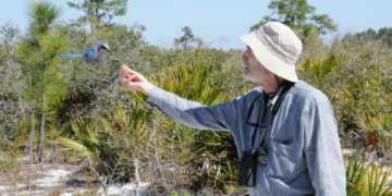 Alarmismo climático: as previsões fracassadas de Paul Ehrlich sobre o fim do mundo