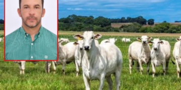 Vereador de MT paga R$ 16 mil de fiança e deixa a prisão após ser alvo de operação por gado roubado
