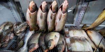 Confira os locais onde comprar peixe barato em Cuiabá