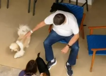 Vídeo mostra Bolsonaro em casa após alta médica