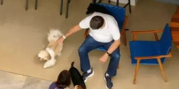 Vídeo mostra Bolsonaro em casa após alta médica