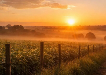 Sol predomina em Ivaiporã e tempo segue firme neste sábado