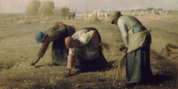 Sua profissão não é sua vocação