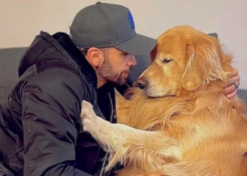 Justiça mantém perícia e apura se morte de cão foi falha sistêmica da Gol