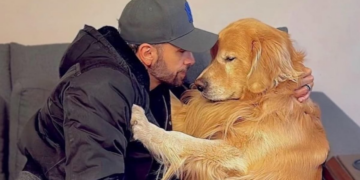 Justiça mantém perícia e apura se morte de cão foi falha sistêmica da Gol