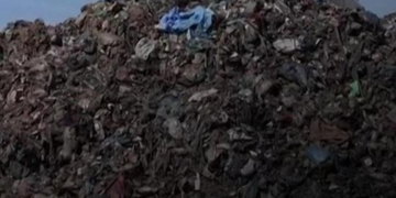 Contratado da Organização Mundial da Saúde é morto em Gaza; evacuação de pacientes está suspensa