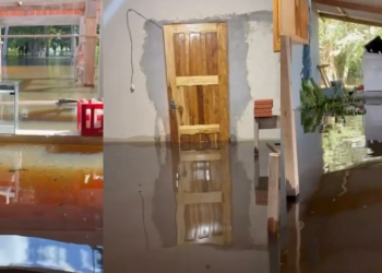 Forte chuva alaga casa de influenciador e peixes invadem sala; vídeo