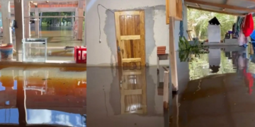 Forte chuva alaga casa de influenciador e peixes invadem sala; vídeo