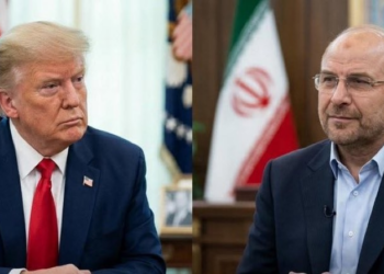 Presidente do Parlamento do Irã ironiza EUA por caça abatido: 'Gênios absolutos'