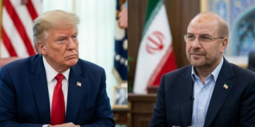 Presidente do Parlamento do Irã ironiza EUA por caça abatido: 'Gênios absolutos'