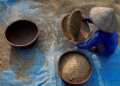 Guerra no Irã e El Niño ameaçam produção mundial de arroz