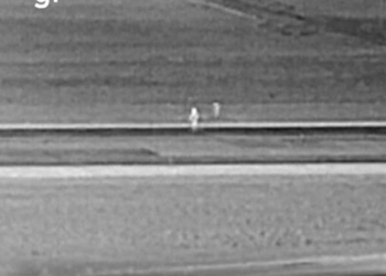 Vídeo mostra avião atropelando pedestre durante decolagem em Denver, nos EUA