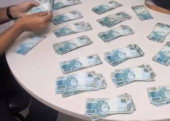 PF investiga fraudes de R$ 200 milhões em contratos de castração de animais no RJ