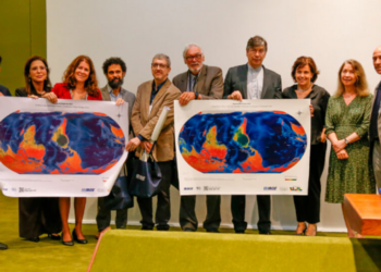 IBGE lança novo mapa-múndi bizarro sobre biodiversidade