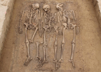 DNA mostra infiltração gradual e miscigenação após queda do Império Romano