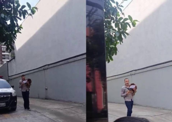 Acusado de golpes em série no centro de São Paulo é detido, mas liberado por falta de processo