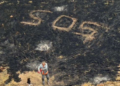 VÍDEO: Homem é resgatado de incêndio em ilha, que pode ter sido causado por sinalizador usado por ele para pedir socorro