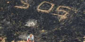 VÍDEO: Homem é resgatado de incêndio em ilha, que pode ter sido causado por sinalizador usado por ele para pedir socorro