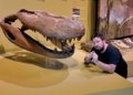 Documentários resgatam assombro da fauna pré-histórica do Brasil