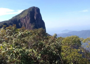Acesso ao pico do Corcovado, em Ubatuba, é reaberto ao público