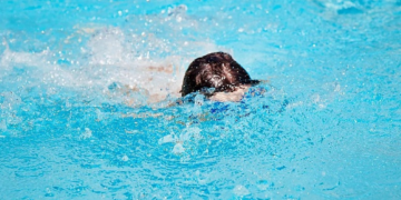 Criança de 2 anos fica 10 minutos submersa em piscina de chácara e morre afogada