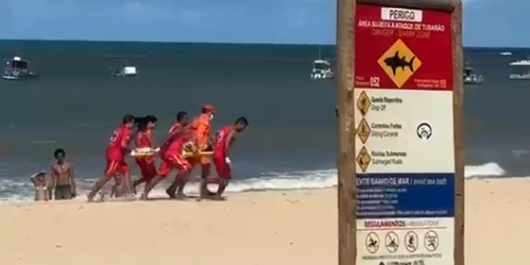 Brasil está entre países com mais casos de ataques de tubarão; veja ranking