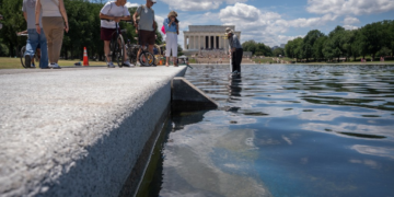 Trump tenta atribuir problemas em espelho d'água em Washington a vandalismo, sem apresentar provas