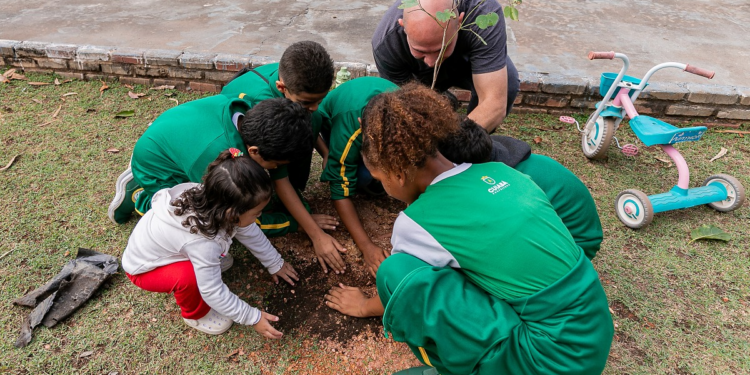 Campanha da Prefeitura de Cuiabá planta 400 mudas de árvore&nbsp;