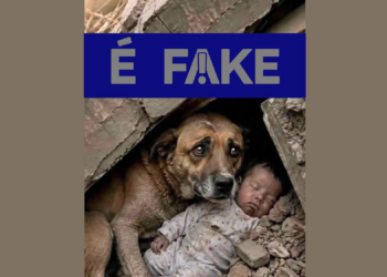 É #FAKE foto de cachorro protegendo bebê em terremoto na Venezuela; imagem foi criada com inteligência artificial