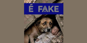 É #FAKE foto de cachorro protegendo bebê em terremoto na Venezuela; imagem foi criada com inteligência artificial