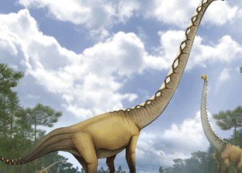 Nova espécie de dinossauro de pescoço longo é descoberta na Tailândia