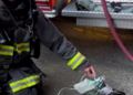 VÍDEO: Bombeiros levam oxigênio a pombo que passou mal por inalar fumaça nos EUA