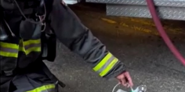 VÍDEO: Bombeiros levam oxigênio a pombo que passou mal por inalar fumaça nos EUA