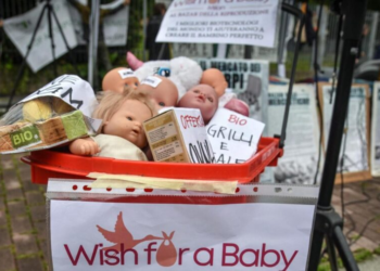 Casal contrata barriga de aluguel, muda de ideia e exige aborto
