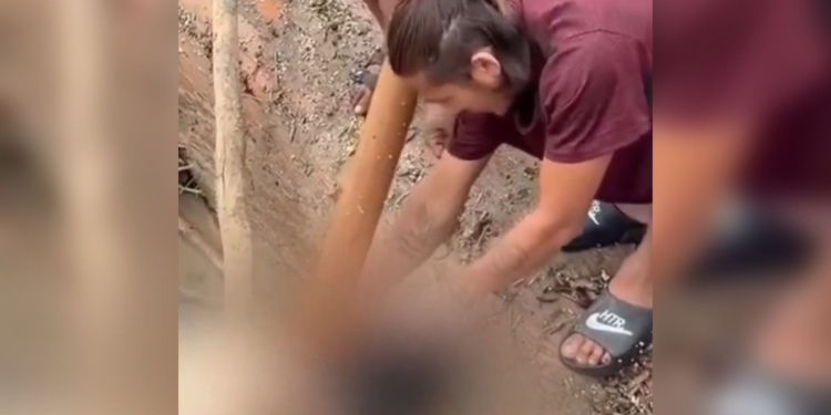 VÍDEO: Dois são presos suspeitos de roubar brinco de ouro de cadáver levado por avalanche no Nepal