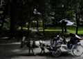 Nova York quer proibir passeios de carruagem no Central Park após morte de adolescente