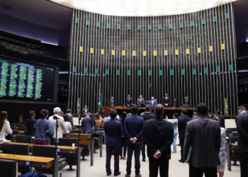 Entenda em 8 pontos por que o voto para deputado federal importa